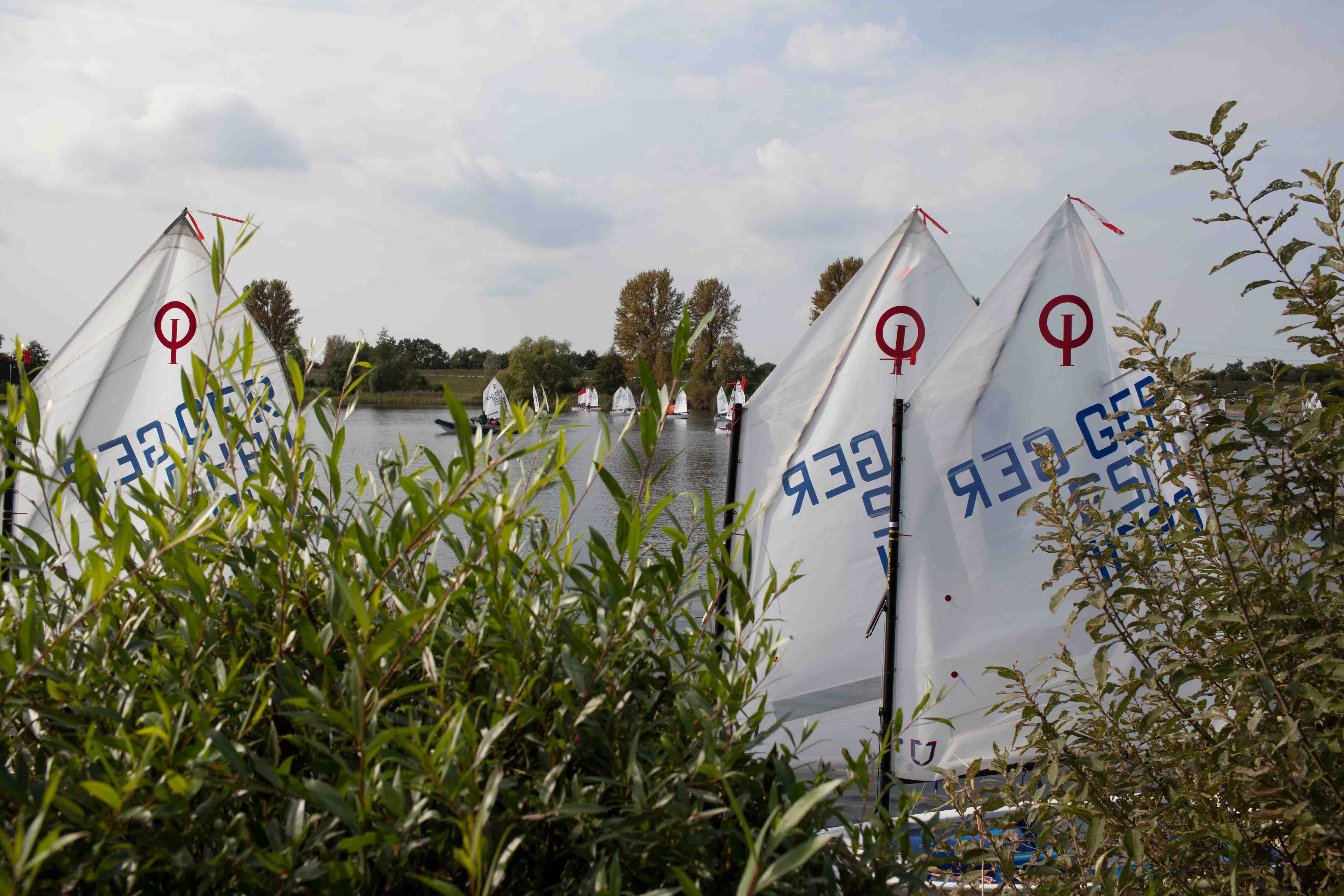 Oortkaten 2016 – Opti A, B und C