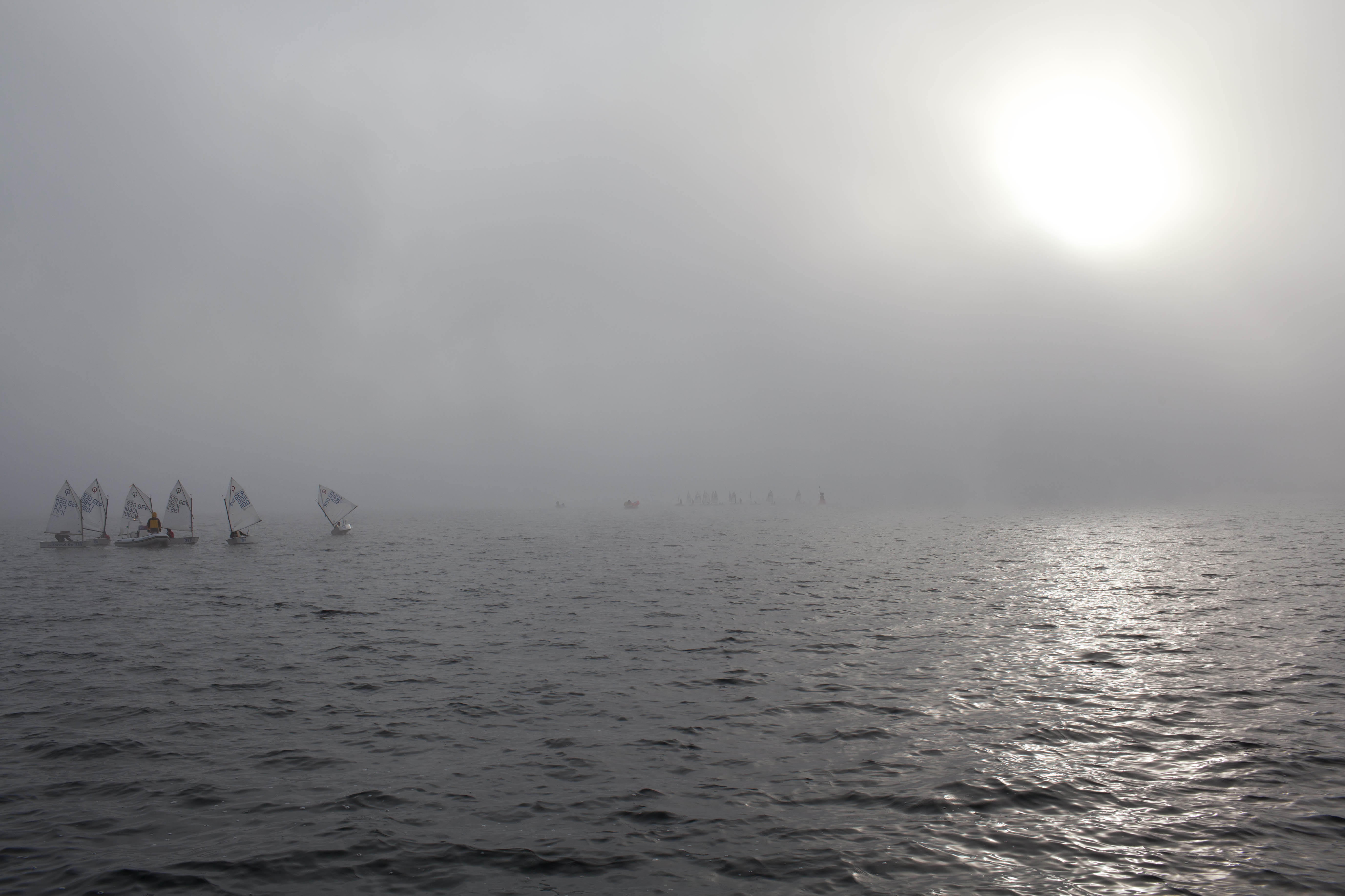 Herbstpokal im Nebel