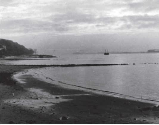 MSC History – Bau des Jollenhafens