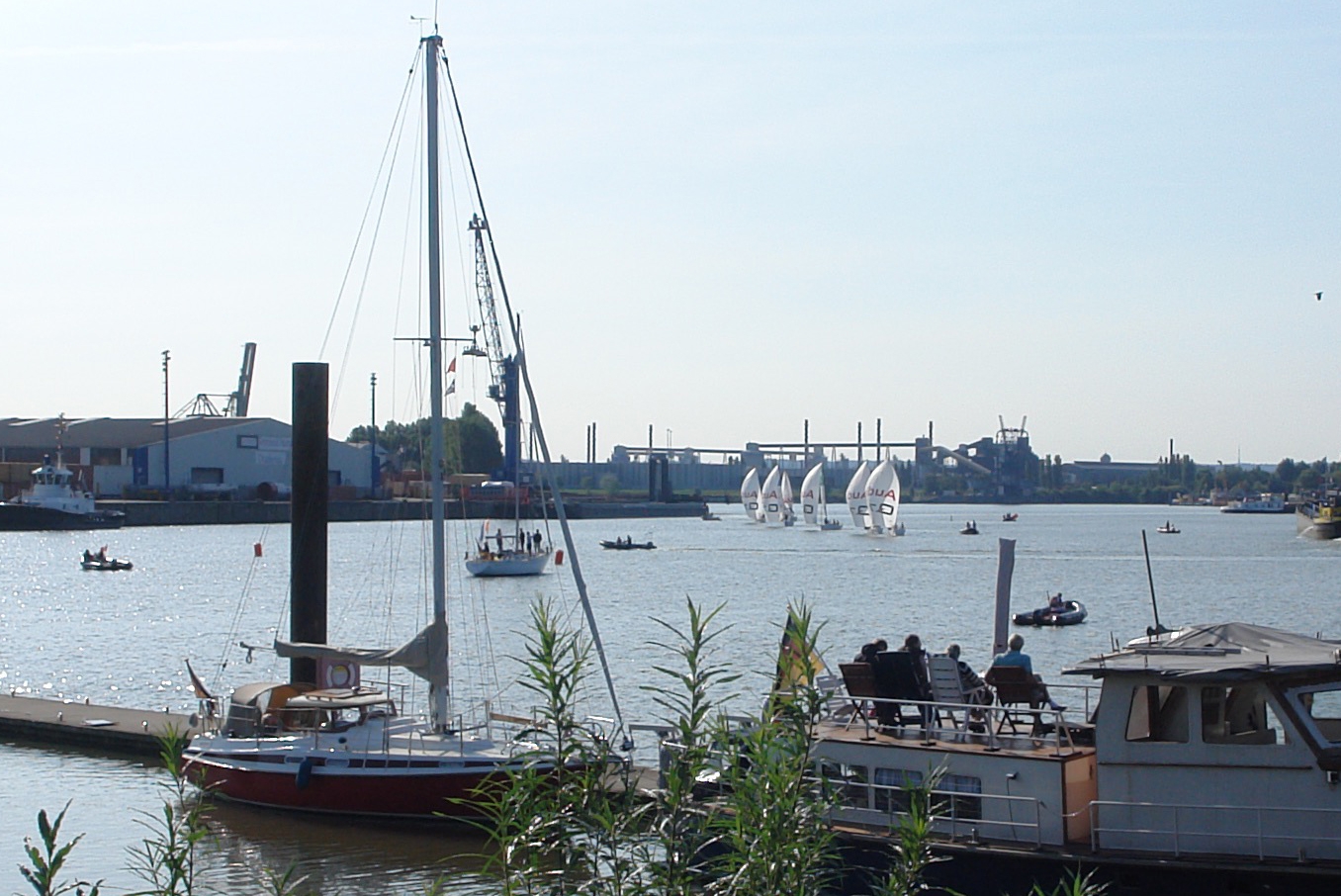 Junioren Segelliga auf dem Köhlfleet