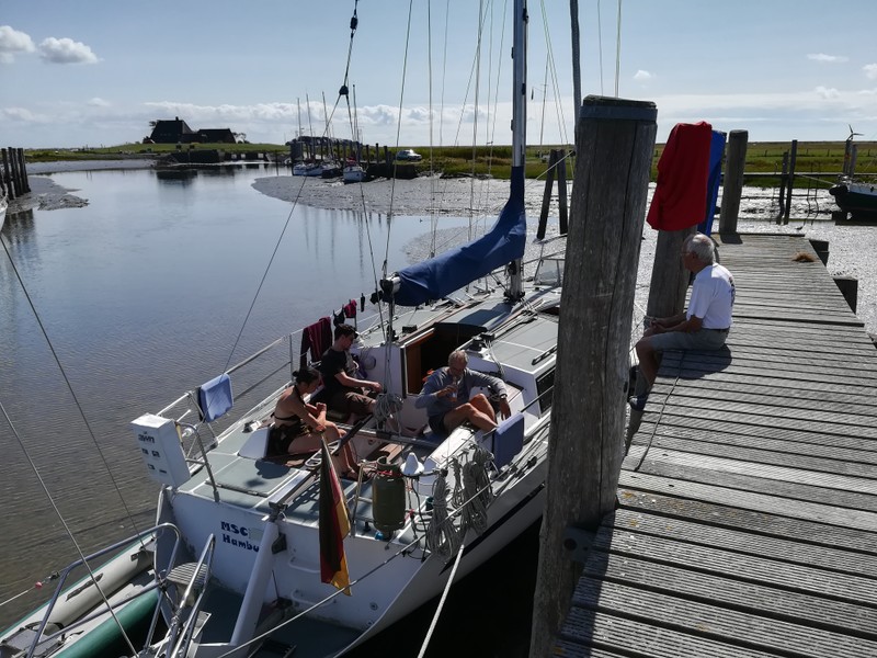 MSC-er treffen sich auf Hooge