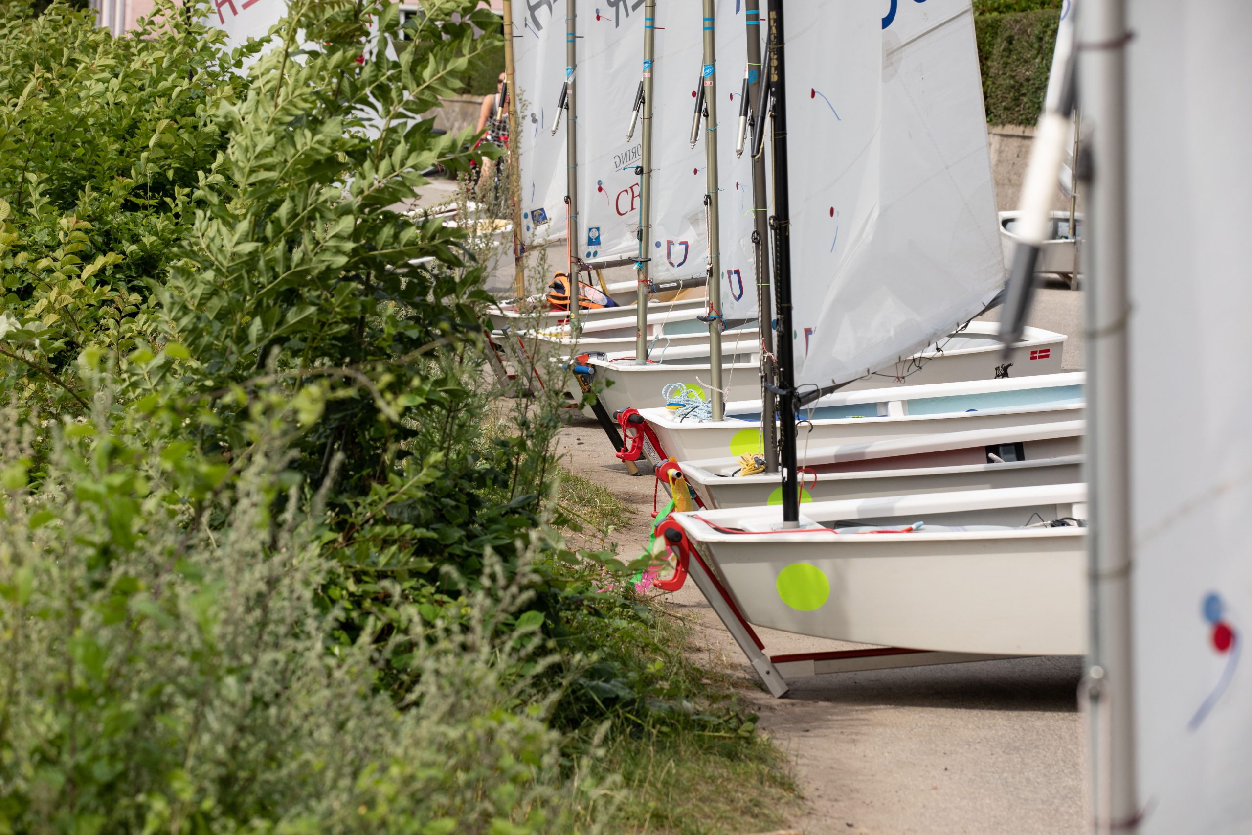 „Big Bang“ – Name und Programm… Opti-Regatta