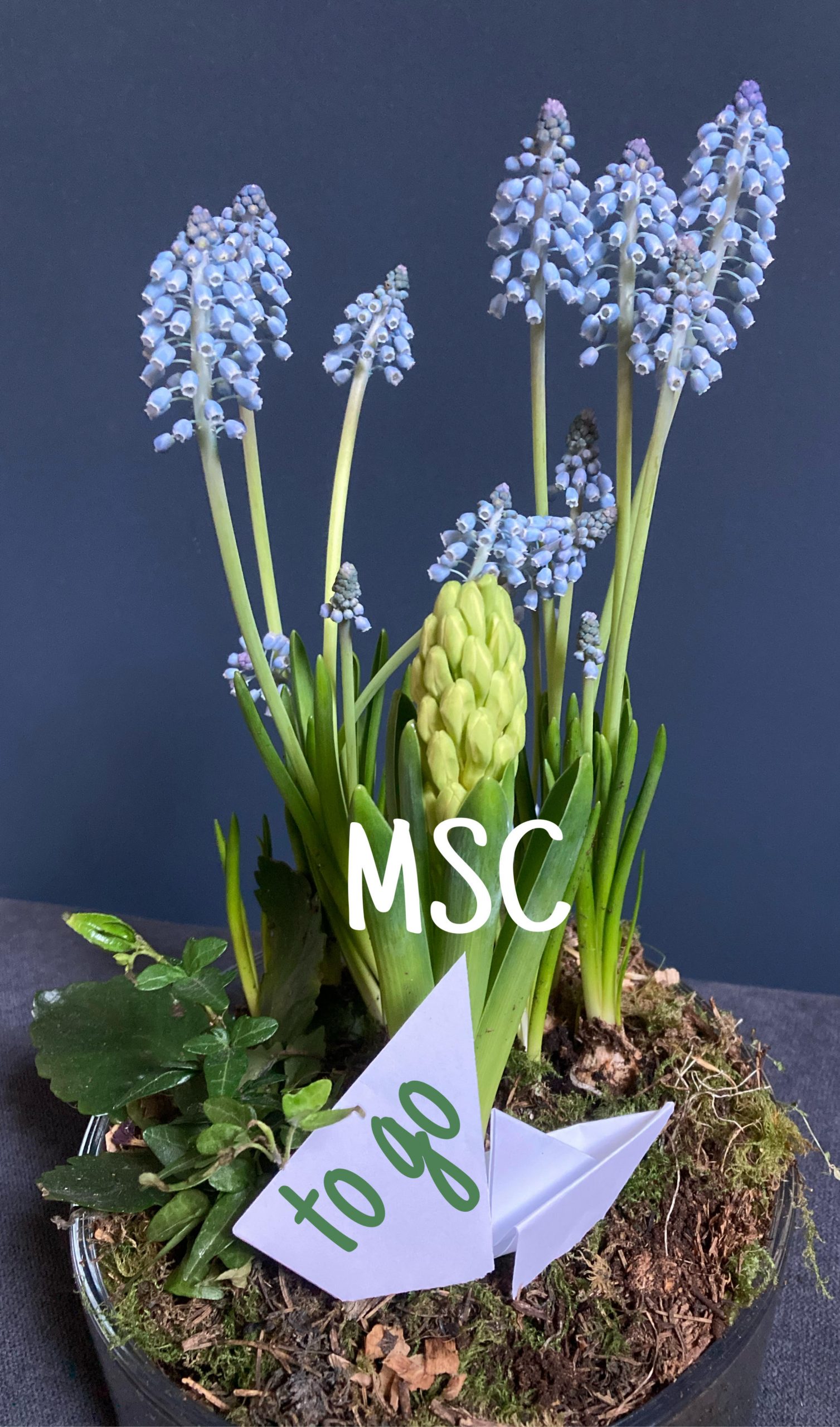 Gastro2Go – April 2021