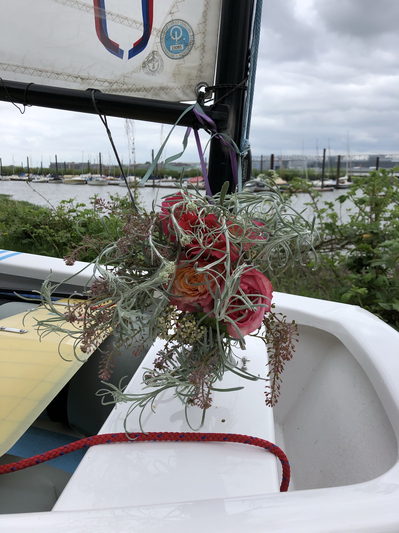 „Azzurro“ und „Black Pearl“ getauft