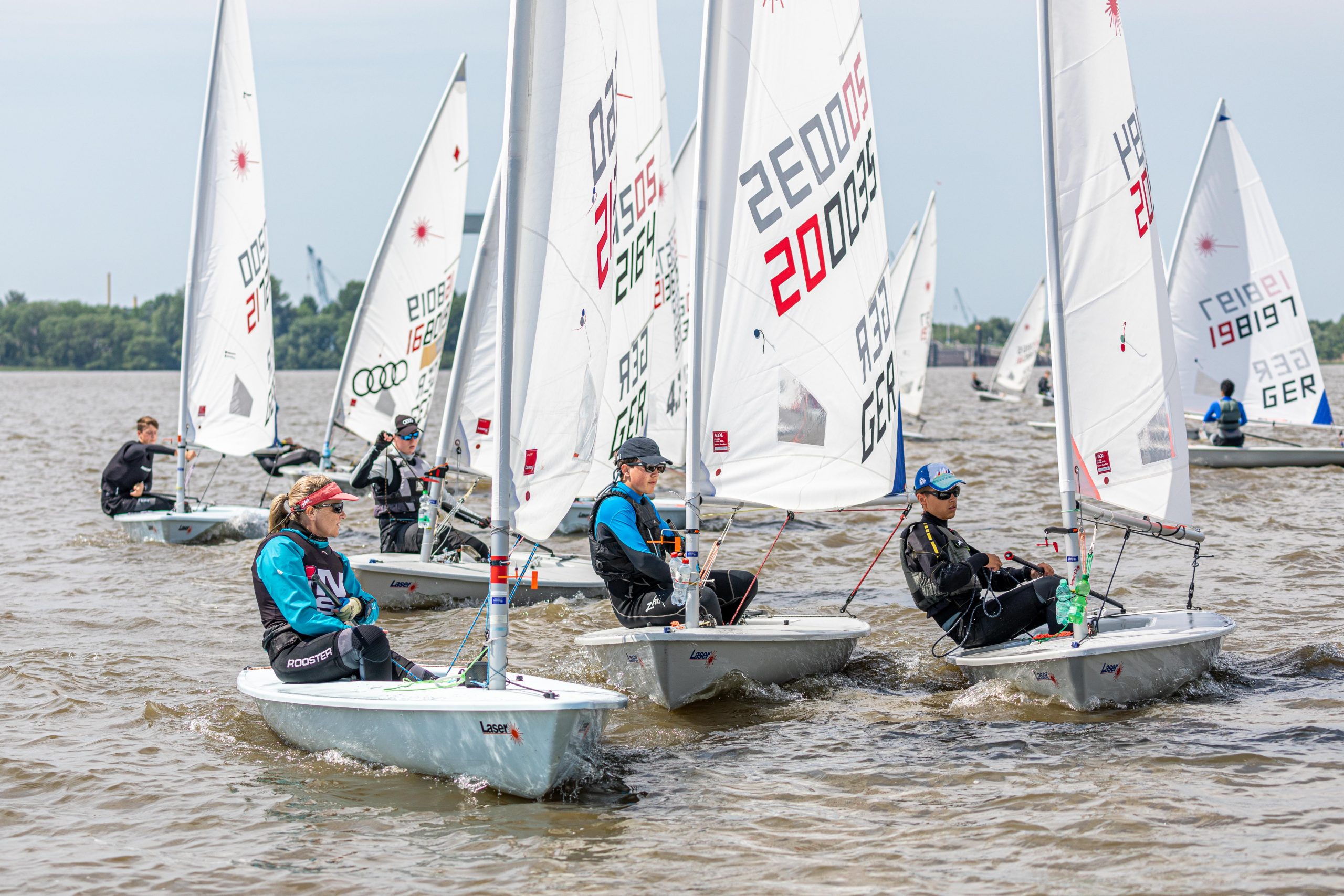 Frühlingserwachen auf der Elbe
