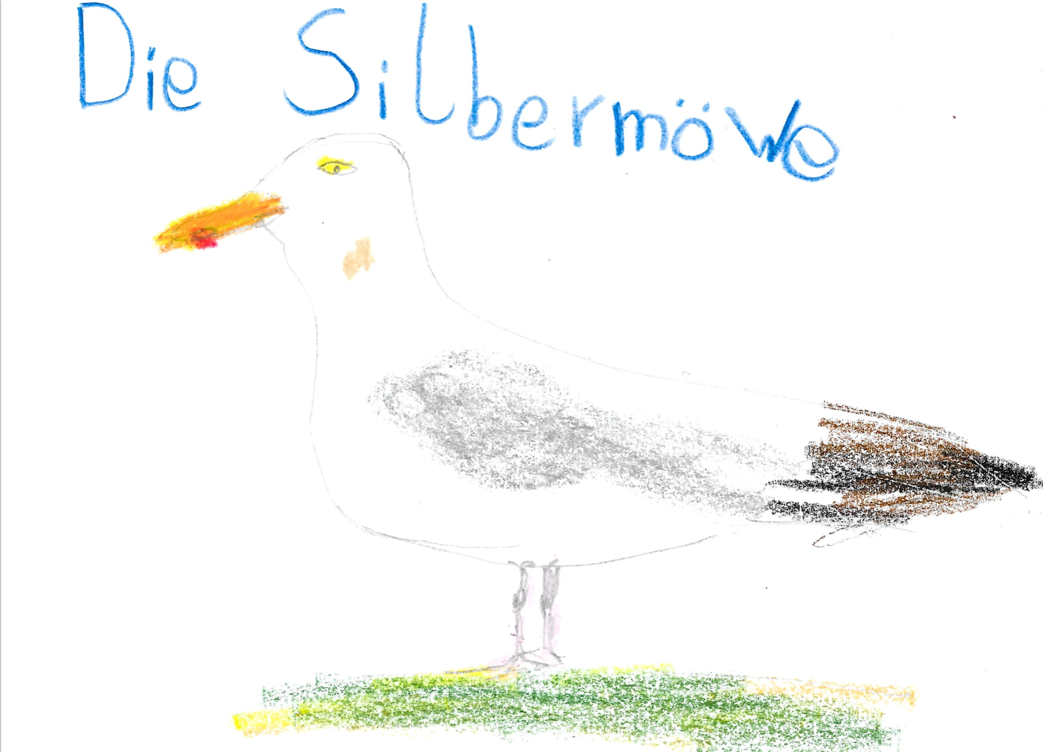 Lernen, wer bei uns im Mühlo im, auf und über Wasser lebt