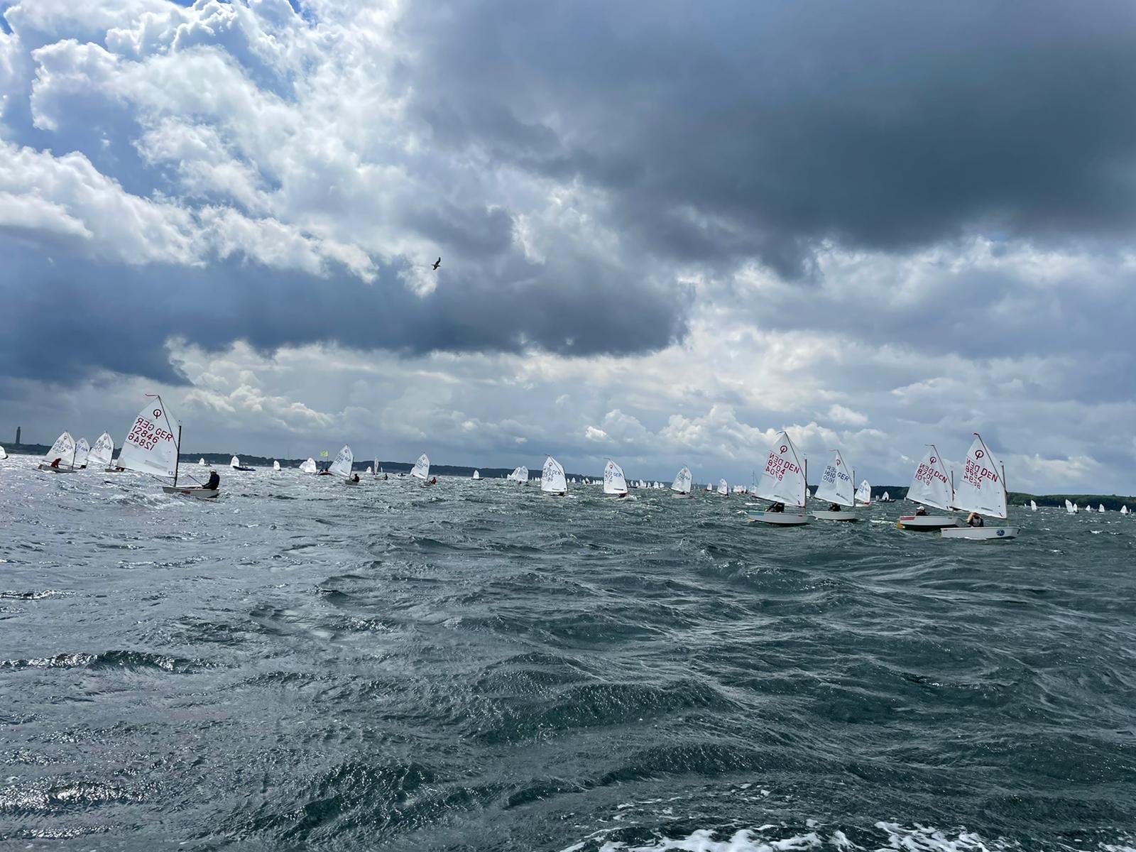 MSC beim Goldenen/ Silbernen Opti in Kiel
