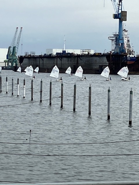 Eisbärregatta Bremerhaven 5/6.11.2022 