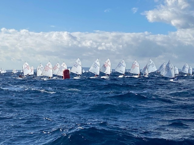 MSC bei der „Rofeo Ciutat de Palma“